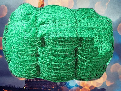 Azure Cricket Sports Nylon Net 100x10 Feet Cricket Net(Green)