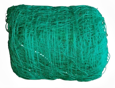 I2SERVICES Premium cricket net 10x10ft Nylon Net -112 Cricket Net(Green)