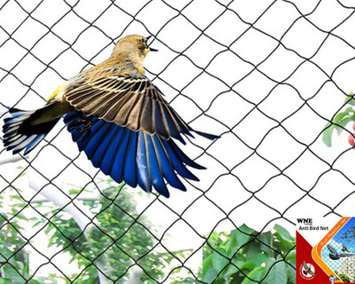 WNE Jaliwale Pigeon Net Anti Bird Net for balcony Pigeon Net for balcony10ft X 6ft(60 sq.ft) Camping Net(White)