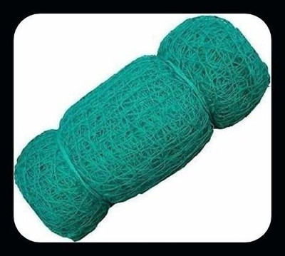 clickon Co_RNew_Nylon 10x10 Foot Anti Bird & Window Protection-N Cricket Net(Green)