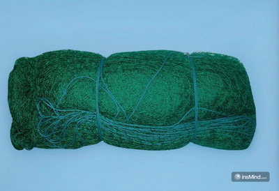 Azure Cricket Nylon Top-Notch Net size 80x10 Deet Cricket Net(Blue)
