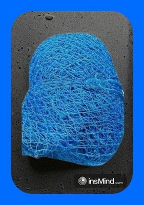 clickon Co_New_Cricket Sports Nylon Net 50x10 Feet Cricket Net(Blue)