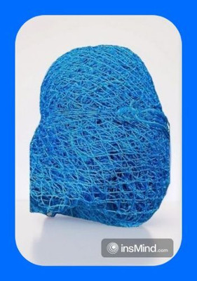 Gulshan Sports Gs_Cricket Training Nylon Net 100x10 Feet Cricket Net(Blue)