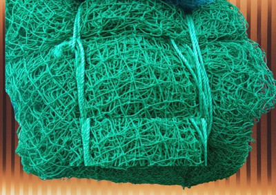 Azure Cricket Skill Nylon Net 40x10 Feet Cricket Net(Green)