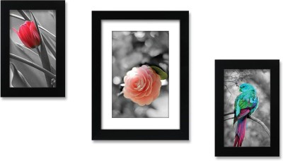 Stuthi Arts Glass Wall Photo Frame(Black, 3 Photo(s), Black-6X8-1M 4X6-2)