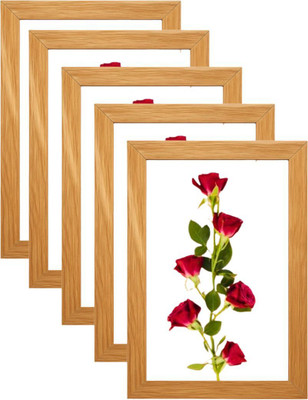 SHRI KHATU SHYAM CREATION Plastic Wall Photo Frame(Multicolor, 1 Photo(s), 8X12)