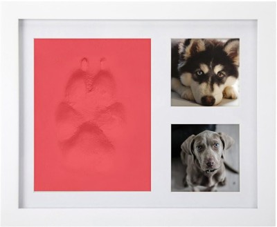 BBS Wood Wall Photo Frame(White, 2 Photo(s), 8)