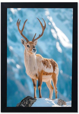lookat Plastic Wall Photo Frame(Multicolor, 1 Photo(s), Reindeer deer animal photo for Home Photo Frame (A4 Size))