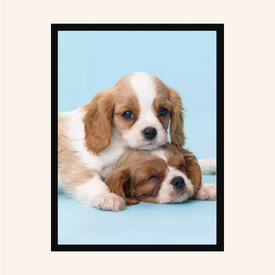 Aashit Wood Wall Photo Frame(Black, 1 Photo(s), A4)