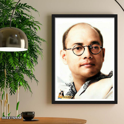 sweetsaab Acrylic Wall Photo Frame(Multicolor, 1 Photo(s), A4 Size)