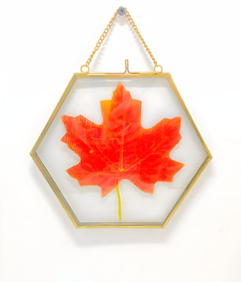 WESTON CHOICE Glass Wall Photo Frame(Gold, White, 1 Photo(s), 6 X 6 Inch)