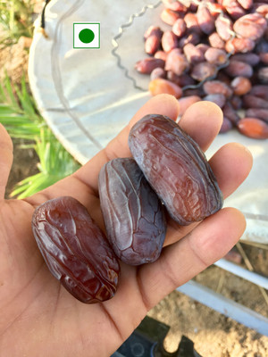 Royal foodery Medjool/Medjoul Dates (Khajoor)| Imported dry fruits Dates(1 x 500 g)
