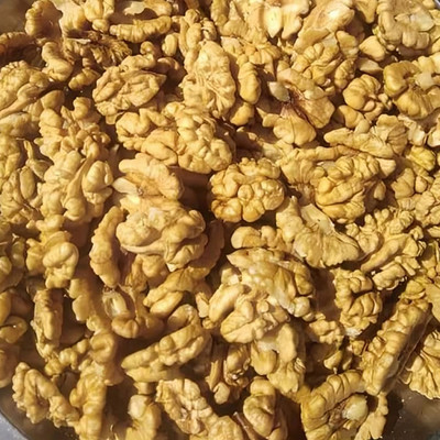 ZION Walnut Kernel Without Shell akhrot Giri 1kg Walnuts(2 x 0.5 kg)