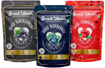 Snack Amor Combo Pack Of Black Currant, Blueberry, Cranberries(3 x 100 g)