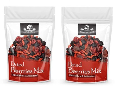 NATURE YARD Berries mix - 300gm - Mix of Dried Cranberry, Blueberry, Goji berry & Strawberry Assorted Fruit(2 x 150 g)