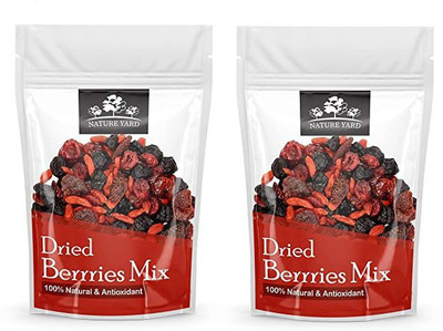 NATURE YARD Berries mix - 300gm - Mix of Dried Cranberry, Blueberry, Goji berry & Strawberry Assorted Fruit(2 x 150 g)