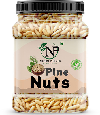 nutri petals Dried Pine Nuts Without Shell Jar Pack(Lebanon Chilgoza Giri) Pine Nuts(100 g)