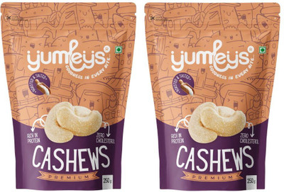 Yumleys Premium Roasted and Mildly Salted Crunchy Immunity Boosting Nuts Kaju/ Cashews(2 x 250 g)