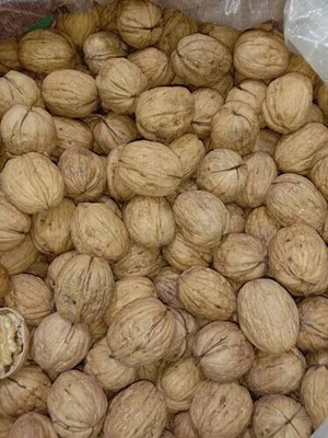 BK KART Walnuts with shell 1kg Walnuts(1 kg)