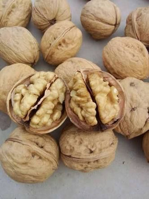 ZION Organic Inshell Walnut with shell 1kg Akhrot Walnuts(1 x 1 kg)