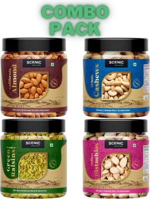 SCENIC Snacks Premium Dry Fruits Combo Pack| Dry Fruits And Nuts Combo Almonds, Cashews, Raisins, Pistachios(4 x 100 g)