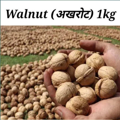 ZION Walnut Kashmiri Akhrot 1kg yummy Paper Shell Walnut Best Dryfruits Walnuts(1 x 1 kg)