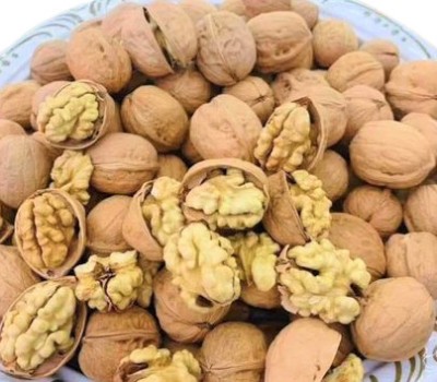 ZION Walnuts 1kg Inshell Akhrot Paper Shell califonrina whole Akrot|Sabut akhrot Walnuts(1 kg)