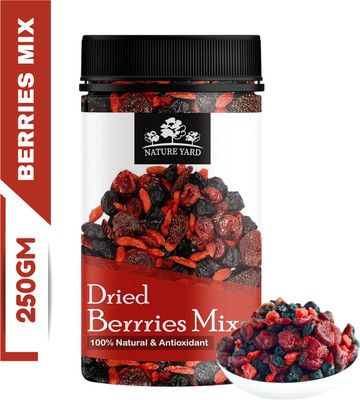 NATURE YARD Berries mix- Mix of Dried Cranberry,Blueberry,Goji berry Assorted Fruit(1 x 250 g)