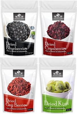 NATURE YARD Dried Blueberry , Whole Cranberry, Goji Berry , & Dried Kiwi dry fruit (150*4) Blueberry, Cranberries, Kiwi, Goji Berries(4 x 150 g)