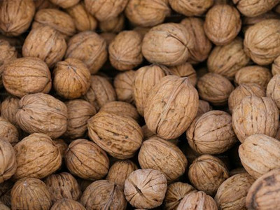 ZION Walnuts with Shell 1kg inshell kashmiri Sabut Kagzi Akhrot |Dry Fruit Walnuts(1 x 1 kg)
