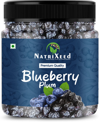 Natrixeed Blueberries Plums | Immunity Boosting | Heart Healthy | Naturally Sweet Blueberry(1 x 100 g)