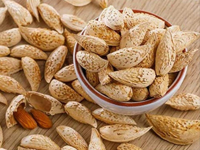 Organic Bites Natural & Premium Kagzi (Soft in Shell) Almond Almonds(1 x 410 g)