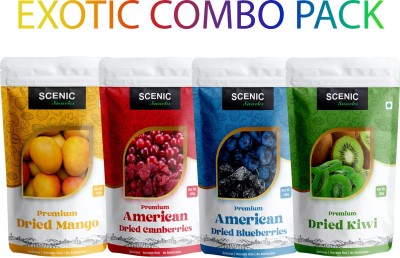 SCENIC Snacks EXOTIC DRIED BLUEBERRY CRANBERRY KIWI MANGO COMBO Assorted Fruit(4 x 100 g)