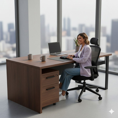 eurovesion EVS-MS204HIF Mesh Office Adjustable Arm Chair(BLACK, DIY(Do-It-Yourself))