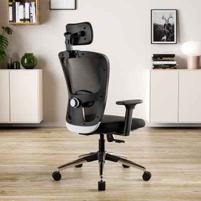 GREEN SOUL Jupiter Superb High Back Ergonomic |Home, Office|2D Armrest|Lumbar Support Mesh Office Adjustable Arm Chair(Black, Optional Installation Available)