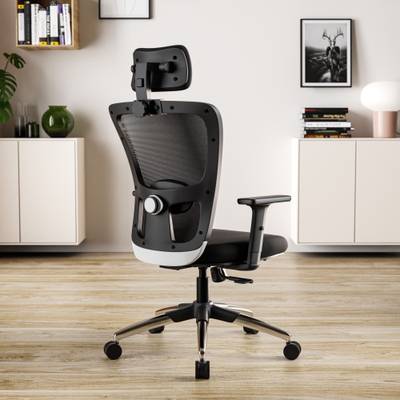 GREEN SOUL Jupiter Superb High Back Ergonomic Chair|Home, Office|2D Headrest|Lumbar Support Mesh Office Adjustable Arm Chair  (Black, DIY(Do-It-Yourself))