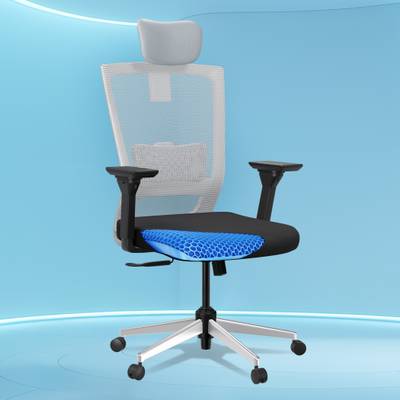The Sleep Company Stylux SmartGRID Premium Ergonomic High-Back Desk for Office & Home Nylon Office Executive Chair