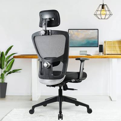 GREEN SOUL Jupiter Go High Back Ergonomic Chair|Home, Office|2D Headrest|Lumbar Support Mesh Office Adjustable Arm Chair  (Black, DIY(Do-It-Yourself))