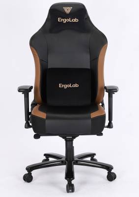 ErgoLab Phantom Gaming, Ergonomic, Adjustable Neck Pillow, 3D Adjustable Armrests Leather Study Arm Chair