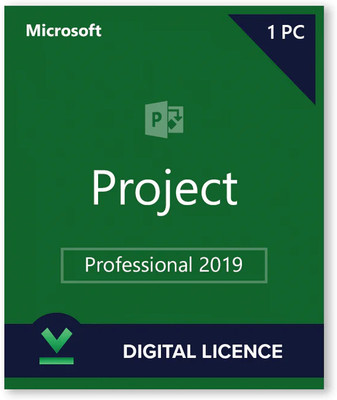 MICROSOFT Project Professional 2019 For Windows PC (1 User, Lifetime Validity)