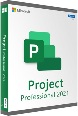 MICROSOFT Project Professional 2021 (1 User, Lifetime Validity)