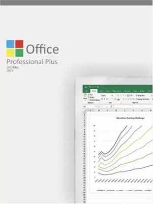 MICROSOFT Office Professional Plus 2019, 1Pc/User Activation Key Card,(Lifetime Validity)