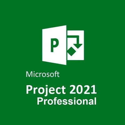 MICROSOFT Project Professional 2021 for Windows PC (1 User, Lifetime Validity)