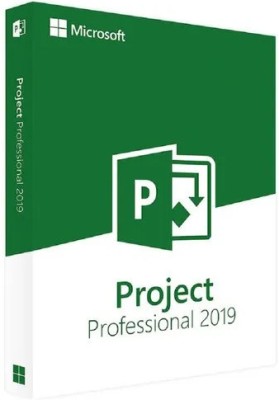 MICROSOFT Project Professional 2019 (1 User, Lifetime Validity) License Key