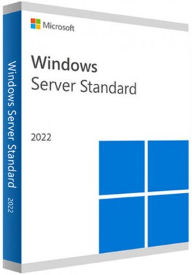 MICROSOFT Windows Server 2022 Standard (1 User, Lifetime Validity)