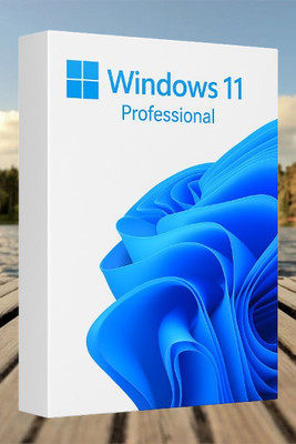 MICROSOFT Windows 11 Professional_AB011 1 User / 1 PC Lifetime Validity Retail License 32 /64 Bit (Flash Drive)