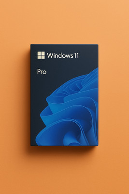 MICROSOFT Windows 11 Pro_AA010 1 User / 1 PC Lifetime Validity Retail License 32 /64 Bit (Flash Drive)