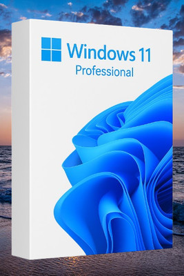 MICROSOFT Windows 11 Professional_AB028 1 User / 1 PC Lifetime Validity Retail License 32 /64 Bit (Flash Drive)