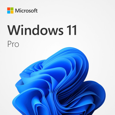 MICROSOFT Windows 11 DVD With Lifetime License Voucher Professional Plus With 25 Digit Perpetual License