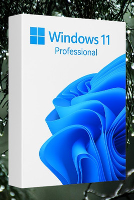 MICROSOFT Windows 11 Professional_AB03 1 User / 1 PC Lifetime Validity Retail License 32 /64 Bit (Flash Drive)